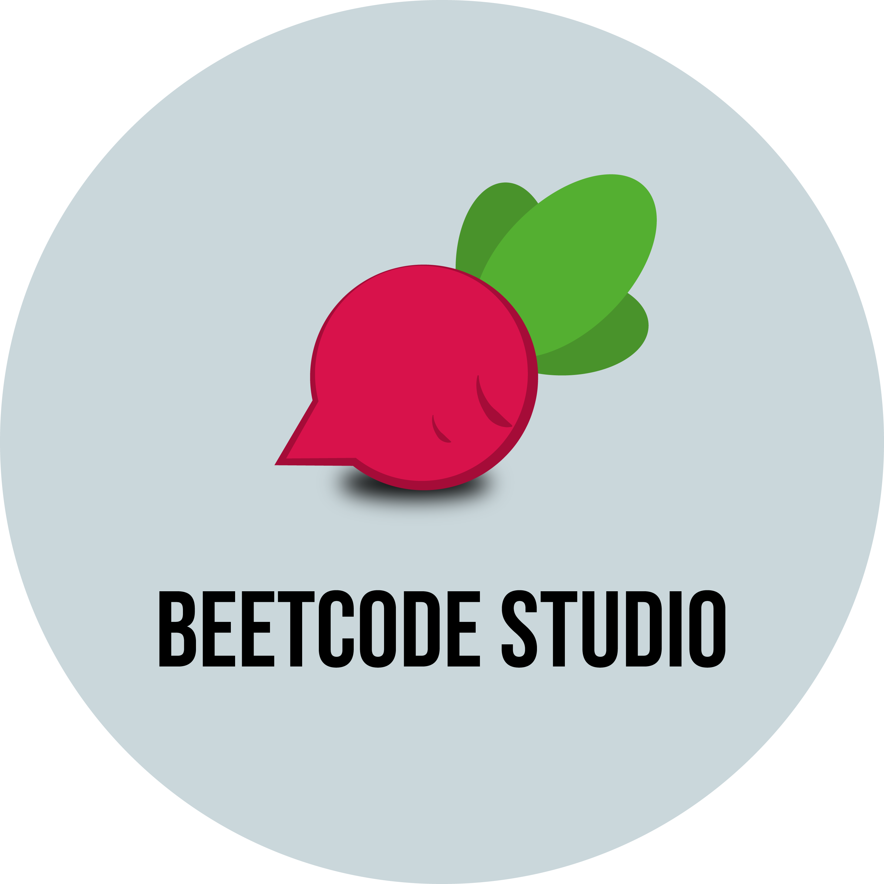 Beet Code Studio
